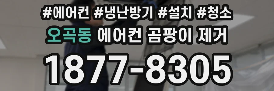 오곡동 에어컨 곰팡이 제거