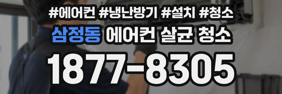 삼정동 에어컨 살균 청소