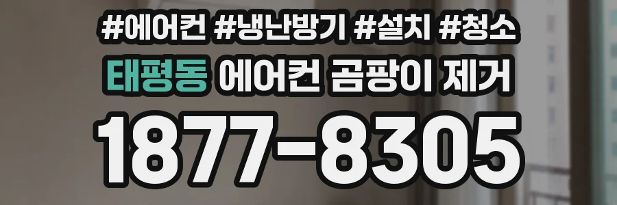 태평동 에어컨 곰팡이 제거