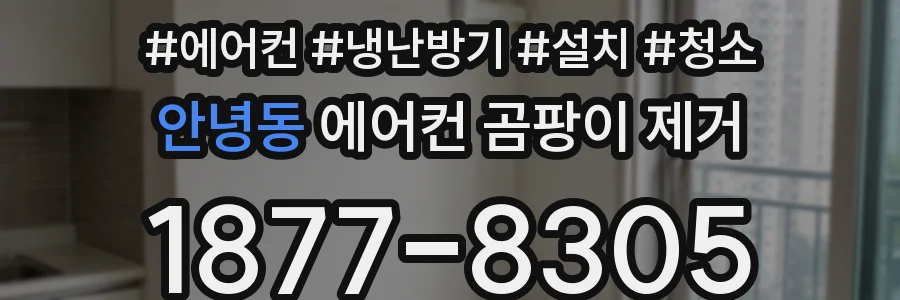 안녕동 에어컨 곰팡이 제거