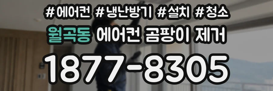 월곡동 에어컨 곰팡이 제거