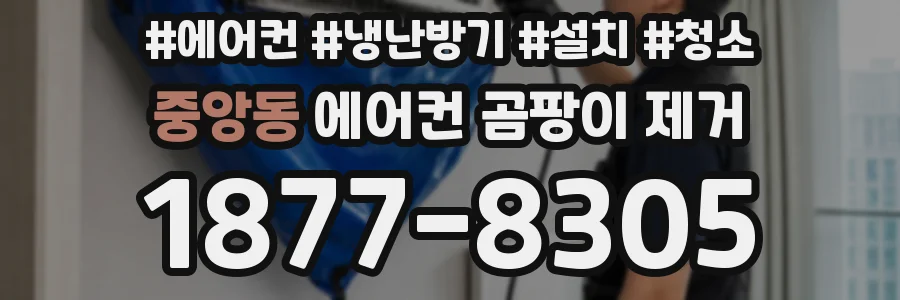 중앙동 에어컨 곰팡이 제거
