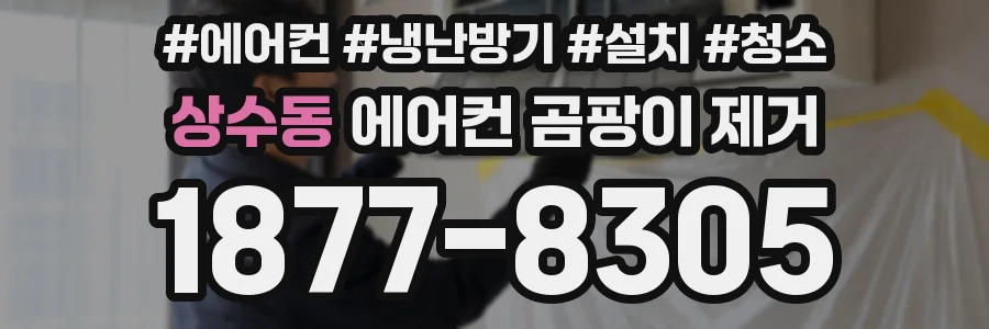 상수동 에어컨 곰팡이 제거