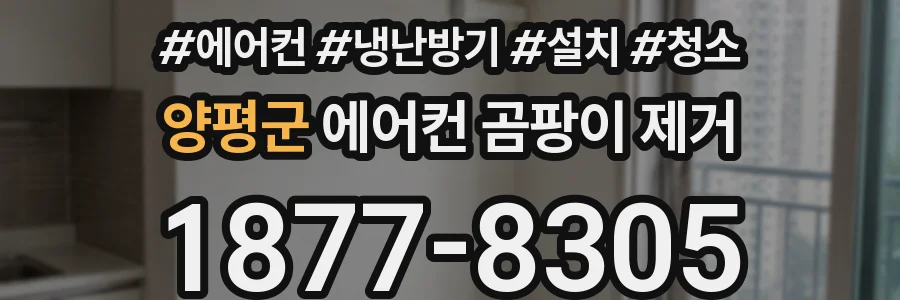양평군 에어컨 곰팡이 제거