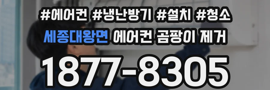 세종대왕면 에어컨 곰팡이 제거