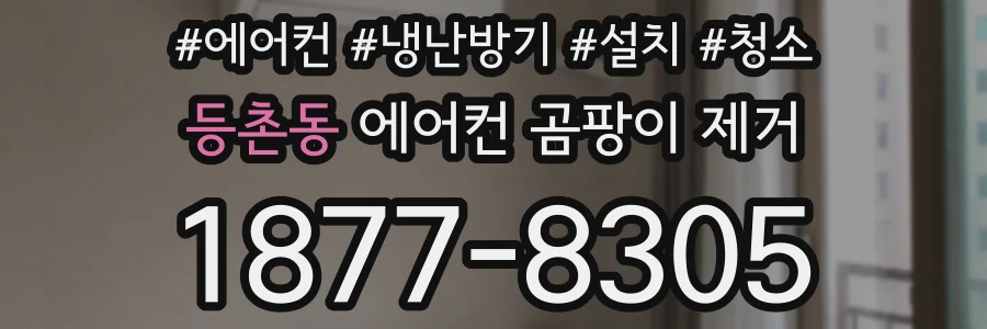 등촌동 에어컨 곰팡이 제거