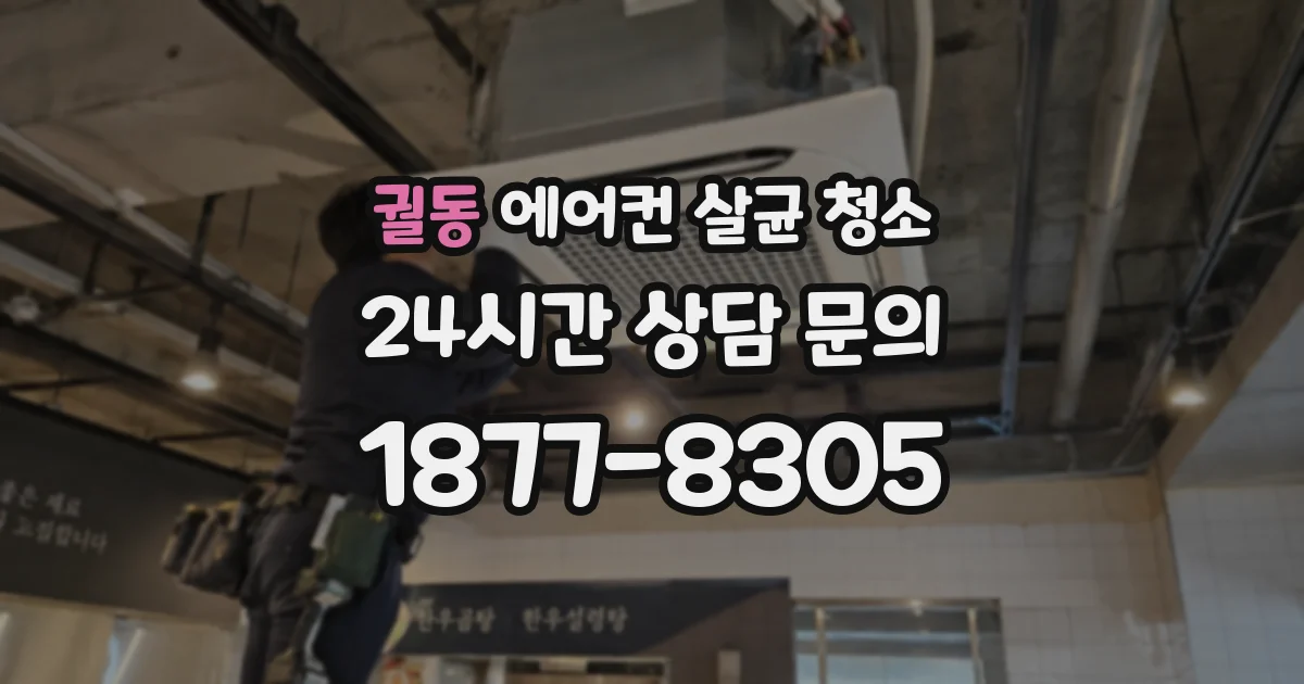 궐동 에어컨 살균 청소