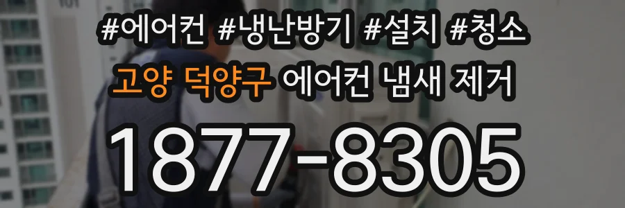 고양 덕양구 에어컨 냄새 제거