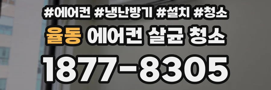 율동 에어컨 살균 청소