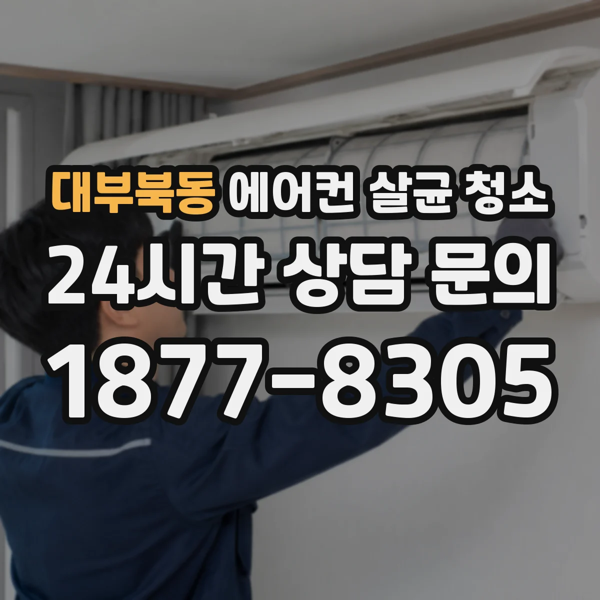 대부북동 에어컨 살균 청소