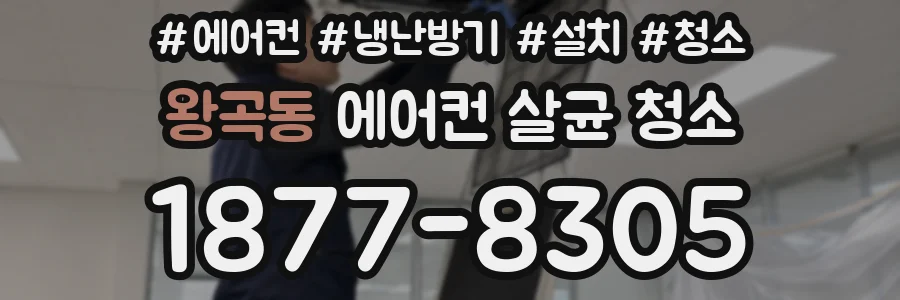 왕곡동 에어컨 살균 청소