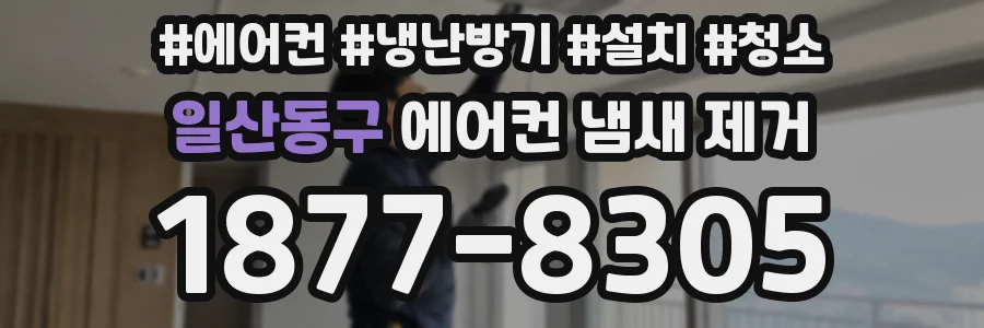 일산동구 에어컨 냄새 제거
