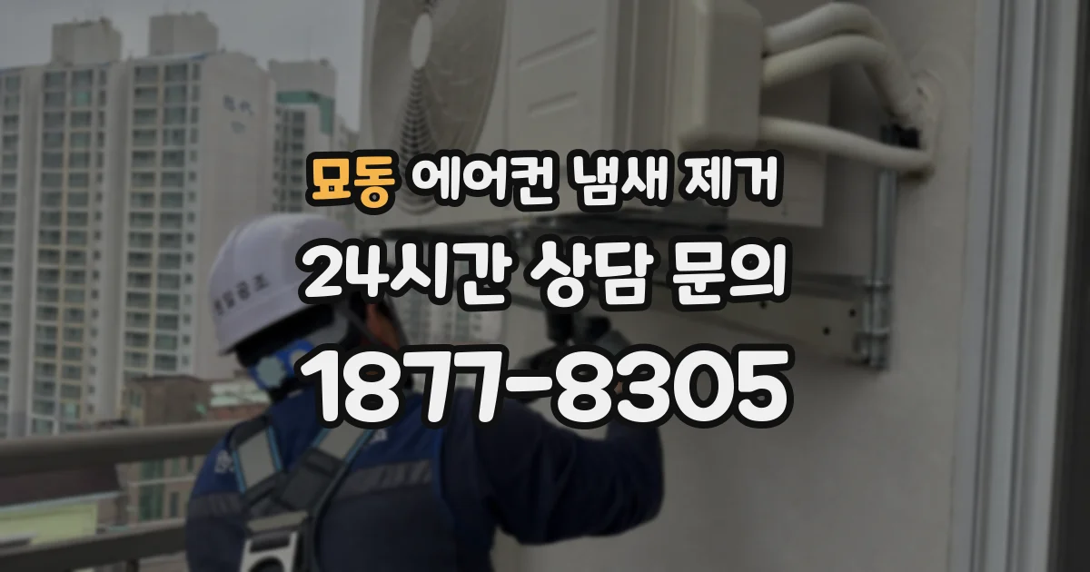 묘동 에어컨 냄새 제거