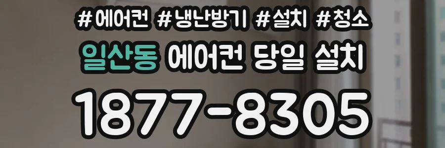 일산동 에어컨 당일 설치