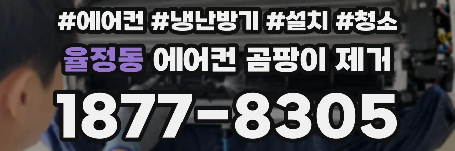 율정동 에어컨 곰팡이 제거
