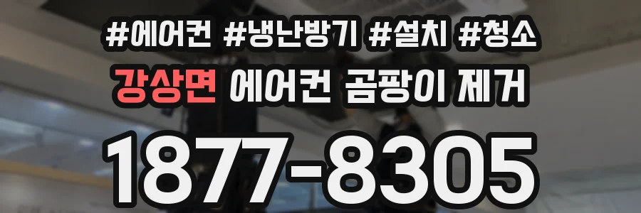 강상면 에어컨 곰팡이 제거