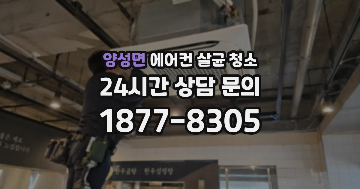 양성면 에어컨 살균 청소