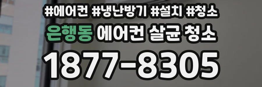 은행동 에어컨 살균 청소