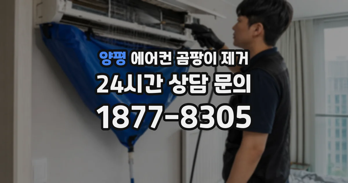 양평 에어컨 곰팡이 제거