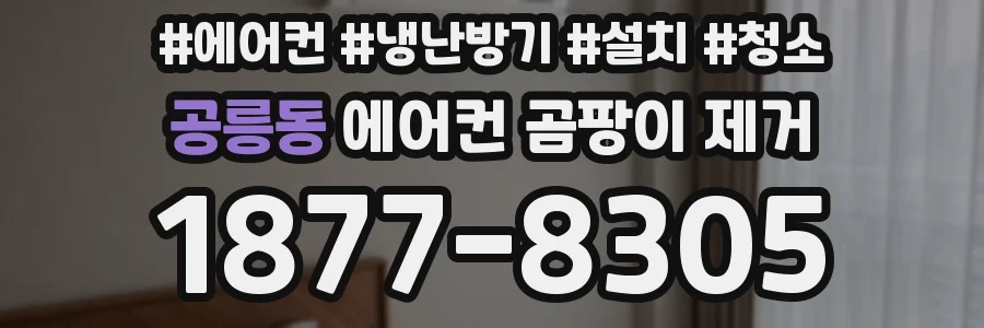 공릉동 에어컨 곰팡이 제거
