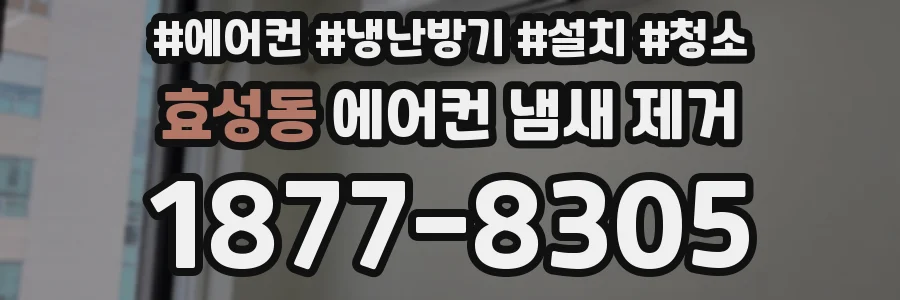효성동 에어컨 냄새 제거