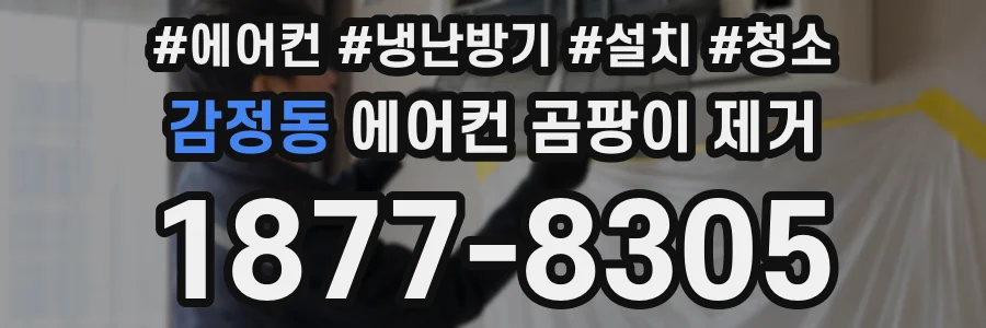 감정동 에어컨 곰팡이 제거