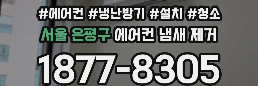 서울 은평구 에어컨 냄새 제거