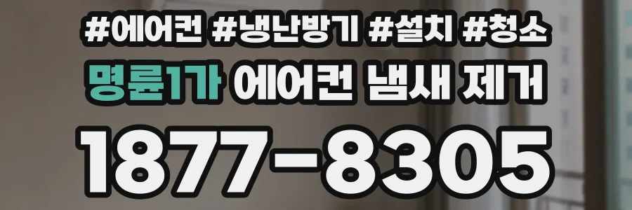 명륜1가 에어컨 냄새 제거