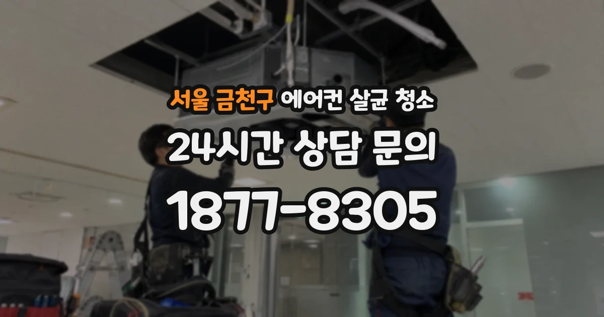 서울 금천구 에어컨 살균 청소