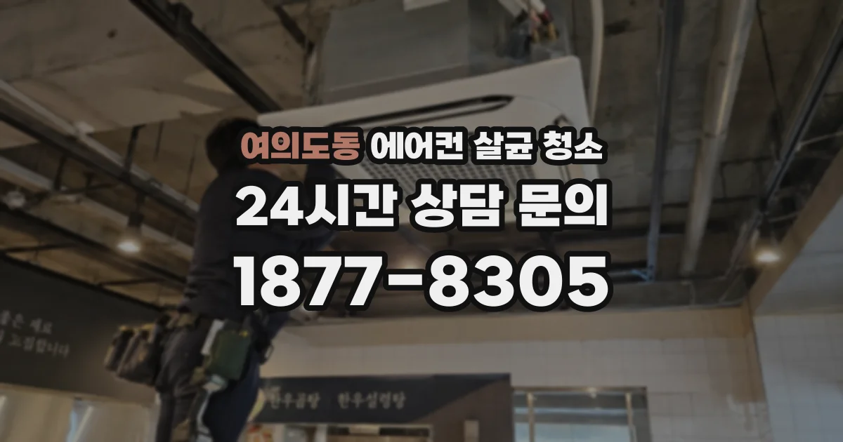 여의도동 에어컨 살균 청소