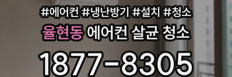 율현동 에어컨 살균 청소
