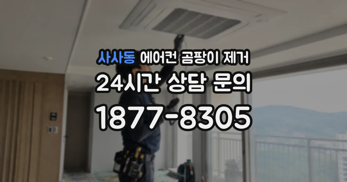 사사동 에어컨 곰팡이 제거
