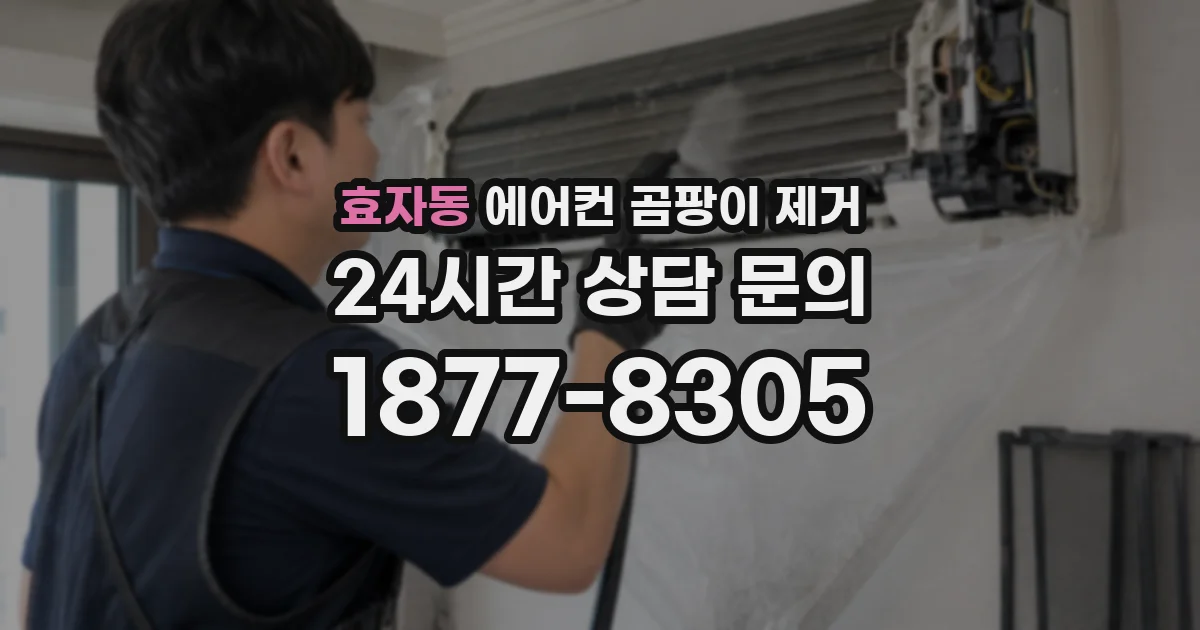 효자동 에어컨 곰팡이 제거