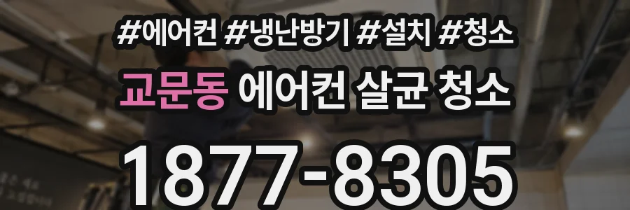 교문동 에어컨 살균 청소