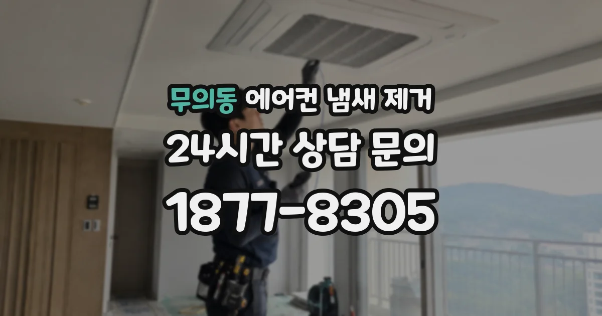 무의동 에어컨 냄새 제거