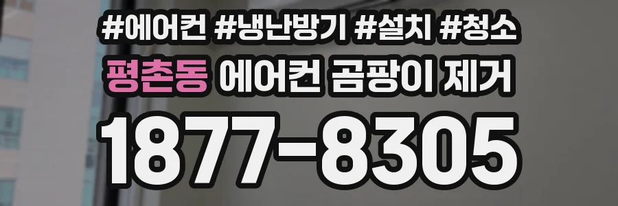 평촌동 에어컨 곰팡이 제거