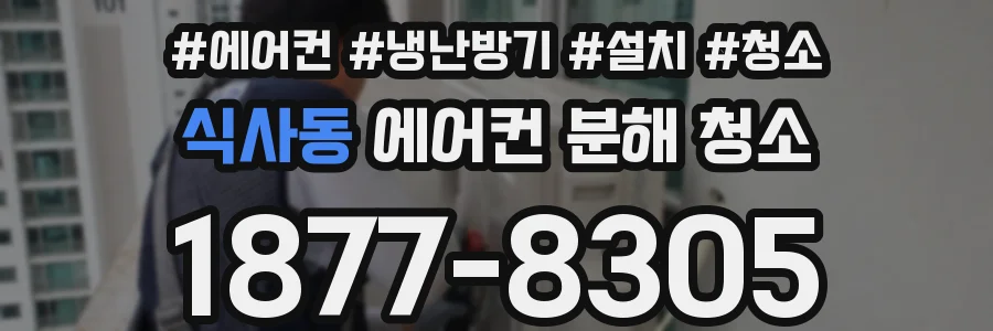 식사동 에어컨 분해 청소