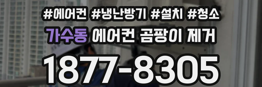 가수동 에어컨 곰팡이 제거