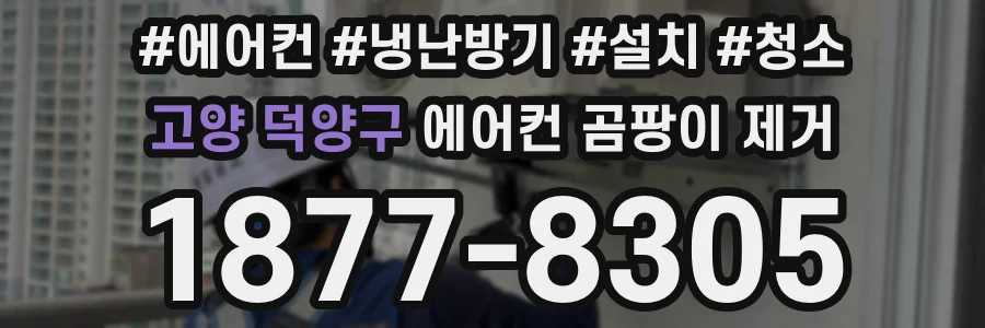 고양 덕양구 에어컨 곰팡이 제거