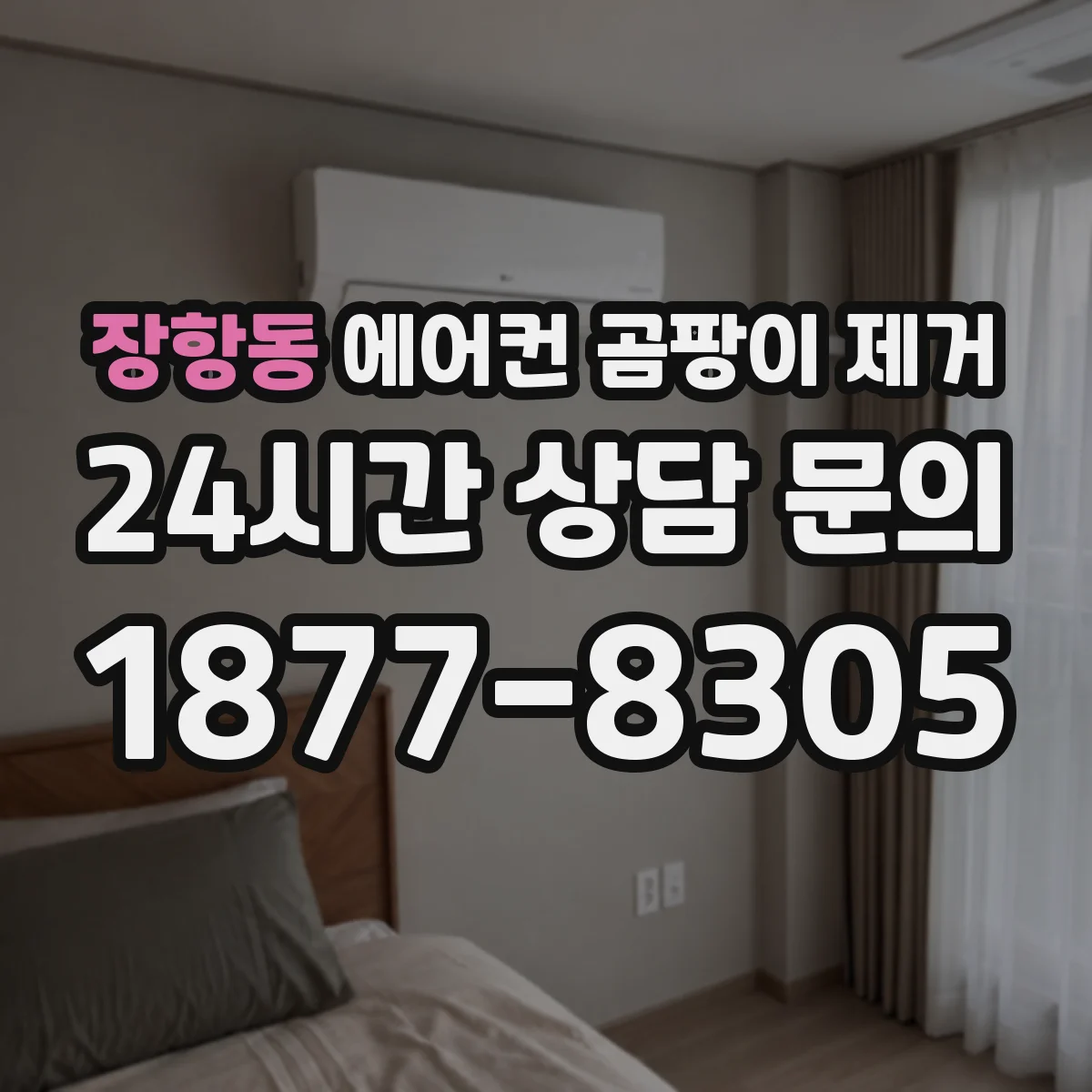 장항동 에어컨 곰팡이 제거