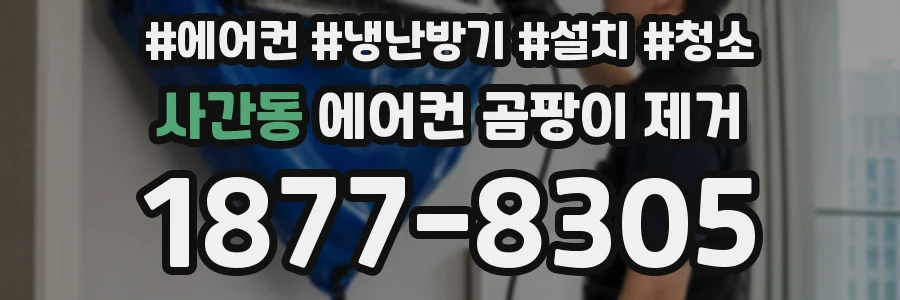 사간동 에어컨 곰팡이 제거