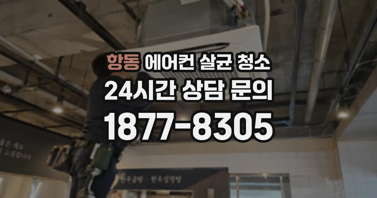 항동 에어컨 살균 청소