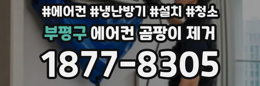 부평구 에어컨 곰팡이 제거