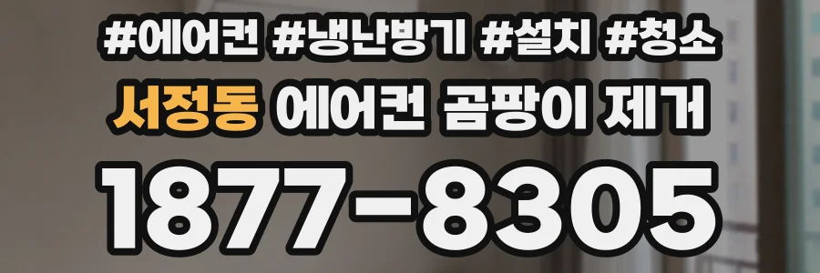 서정동 에어컨 곰팡이 제거