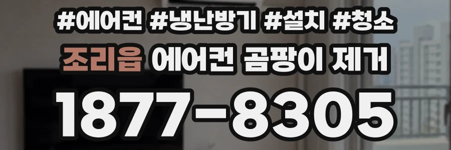 조리읍 에어컨 곰팡이 제거