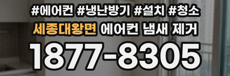 세종대왕면 에어컨 냄새 제거