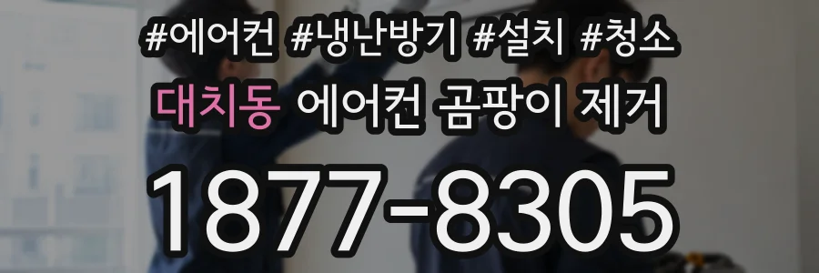 대치동 에어컨 곰팡이 제거