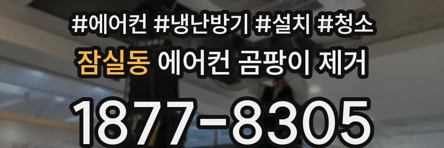 잠실동 에어컨 곰팡이 제거
