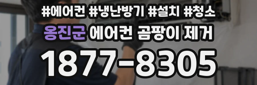 옹진군 에어컨 곰팡이 제거