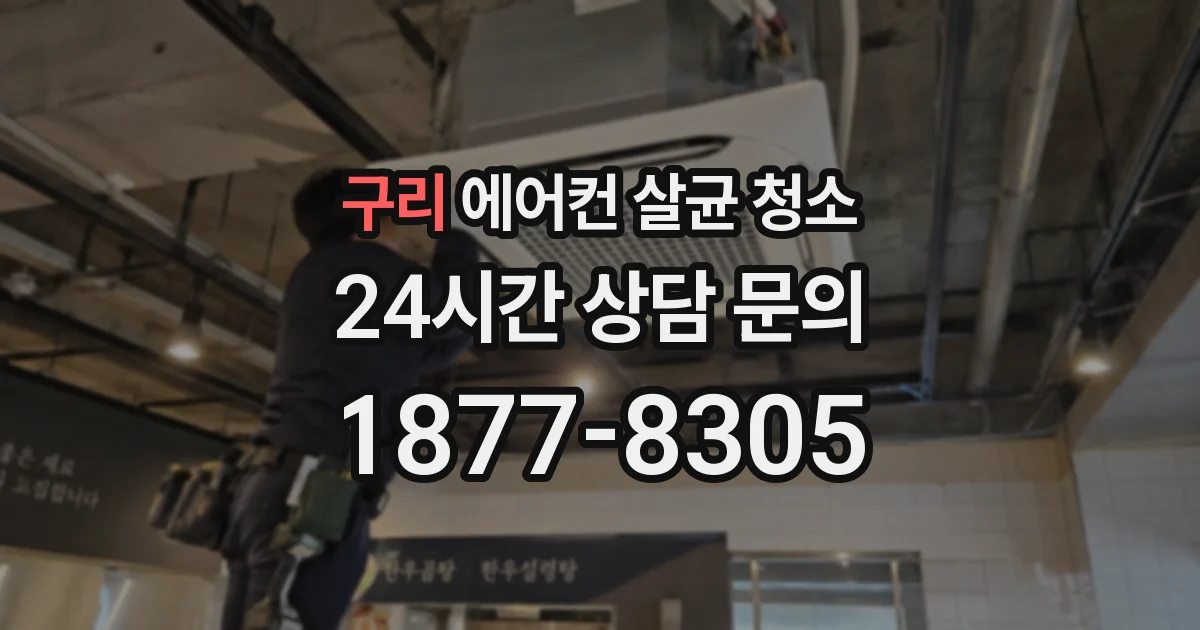 구리 에어컨 살균 청소